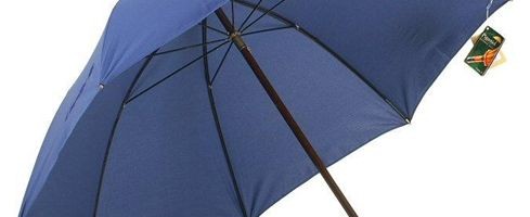 Risque-et-Progres-Precaution-Parapluie