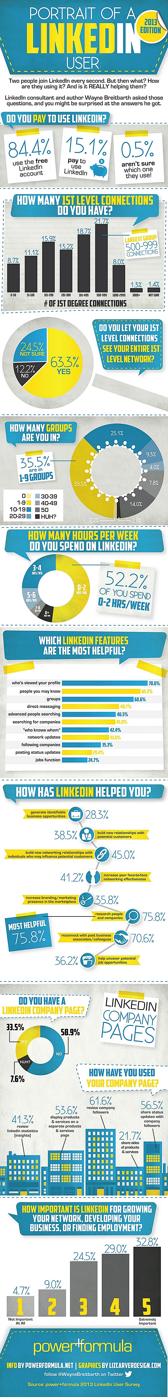Infographie 31 - The-Portrait-Of-A-LinkedIn-User-–-2013-Infographic